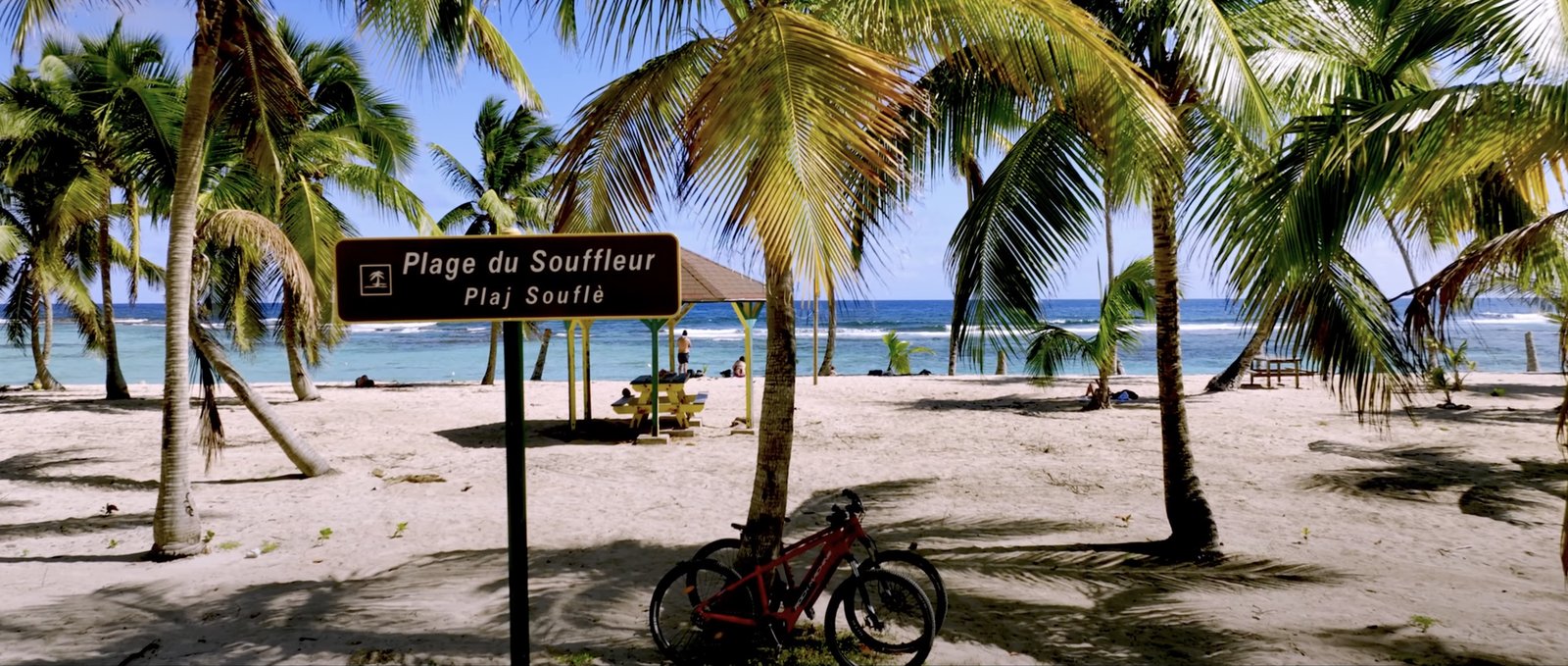 Plage du Souffleur à La Désirade, bordée de cocotiers