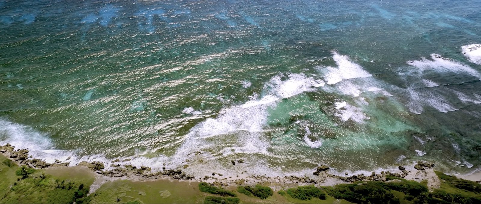 Vagues sur le récif au large de La Désirade, vue aérienne